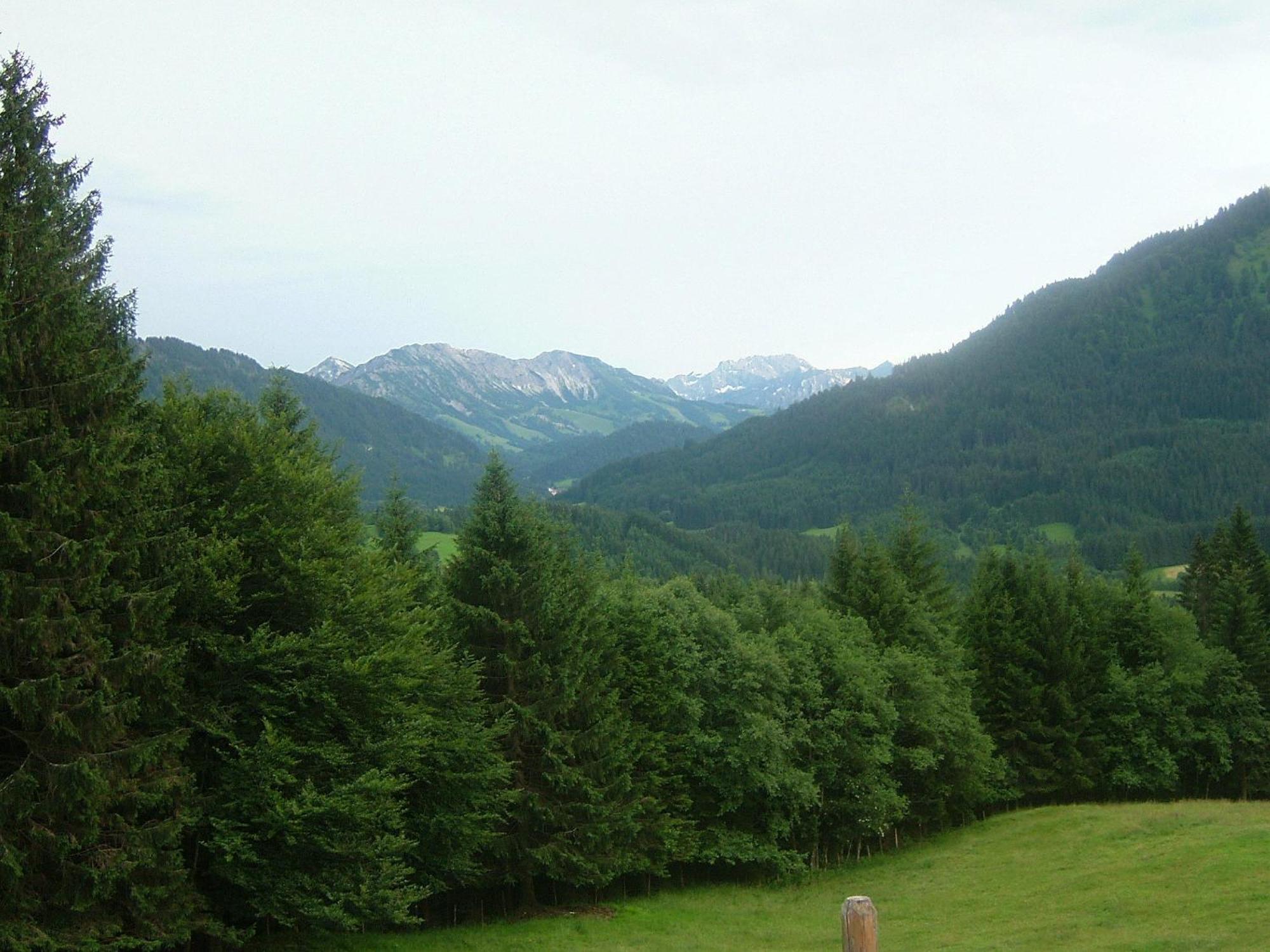 Отель Alpenhof Reuterwanne Вертах Экстерьер фото