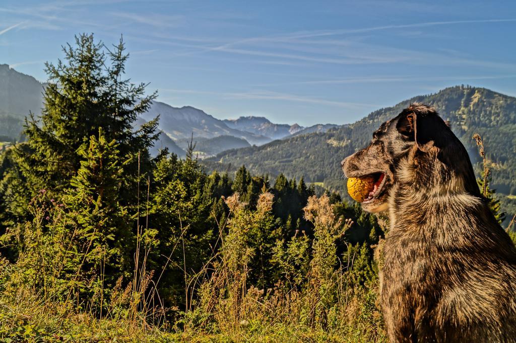 Отель Alpenhof Reuterwanne Вертах Экстерьер фото